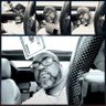 Gregory — P.'s profile picture
