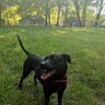 griff holler profil fotoğrafı