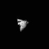 ابو حيدر العراقي's profile picture