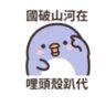 肥肥's profile picture
