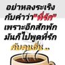 คน โสด's profile picture