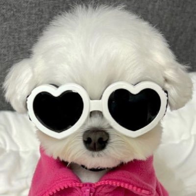 쿨푸's profile picture