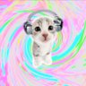 sakkk's profile picture