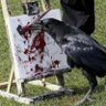 i_Cédi's profile picture