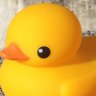 かとにゃん(・Θ・)/🦆(Ver.1.xx)🌻🐾🐦💨😈🐰 profil fotoğrafı
