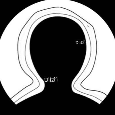 dllzi1's profile picture