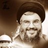 محب السيد 的头像