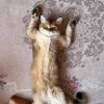 Murat Can Topel profil fotoğrafı
