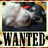 ななまさ(黒猫、ちまちま、時々こつぶ)'s profile picture
