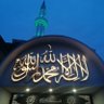 MUHSİN ULUTAŞ's profile picture