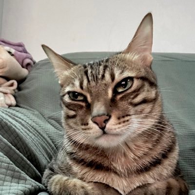 虎牙🦖與他的奴僕S's profile picture