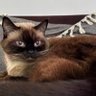 Emre Kara profil fotoğrafı