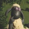 big bellies lover profil fotoğrafı