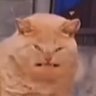 Profilbild von CFAB BTW