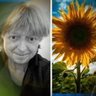 Pavel Fornál's profile picture
