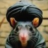 Profilbild von H__ Mohammad