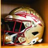 fsufab's profile picture