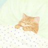 (:('s profile picture