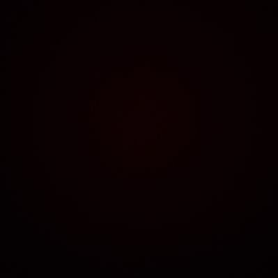 werelino's profile picture