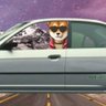Profilbild von shibfather (🦍,🦍)