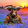 TEXAS 🤘🐂's profile picture