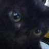 Profilbild von ヘルフェ