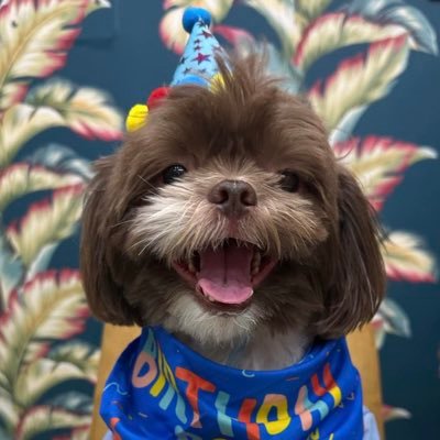 yaoi_mazter's profile picture