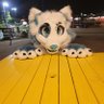 Snowy The Snow Fox 🔜 LSFC 25 的头像