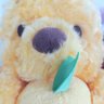 Profilbild von 華の音
