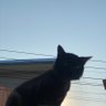ʀᴀɪɴʏ ♡ profil fotoğrafı