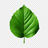 Фото профиля Blownwest7