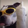 Profilbild von jerry