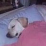 Zureta's profile picture