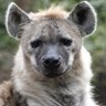 その's profile picture