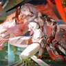 おはやっほー!NIKKE/パニグレ/鳴潮 profil fotoğrafı