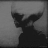 Profilbild von Ⓜ️SLBD Seti 🛸👽