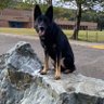 TBQ profil fotoğrafı