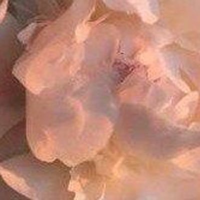 whatyouknowboutlove's profile picture