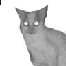 Profilbild von Неважно Неважнович