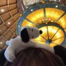 りり's profile picture