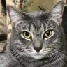 Rutabaga1959's profile picture