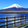 日本の会's profile picture