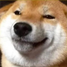 陳祐達 profil fotoğrafı