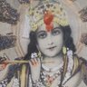 MD KHANNA's profile picture
