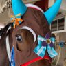 Profilbild von くま⭐︎しげお🪓🐴