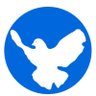 Feightforpeace's profile picture