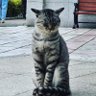 Фото профиля 프린시아
