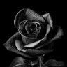 Фото профиля Lusy