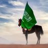 الدعم السكني's profile picture