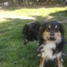 Marion profil fotoğrafı
